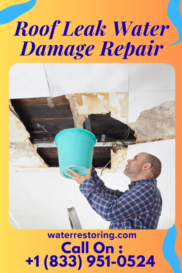 Roof Leak Water Damage Repair in Little Elm, TX